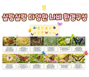 살랑살랑 다양한 나비 환경구성