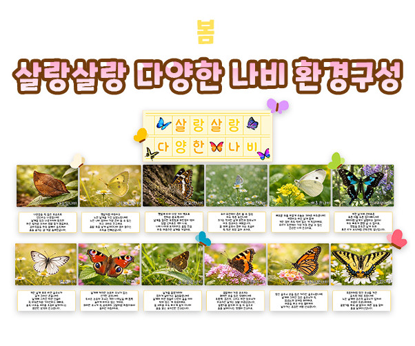 살랑살랑 다양한 나비 환경구성