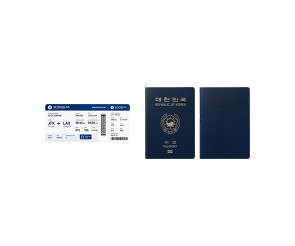 여권, 비행기표