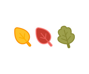 낙엽