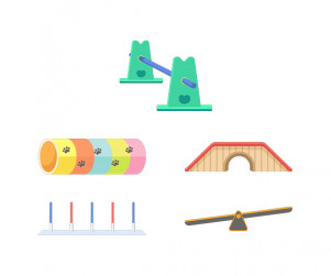 강아지 어질리티 기구