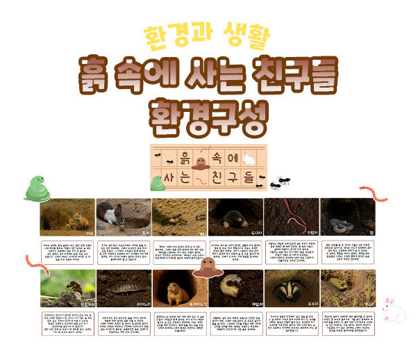 흙 속에 사는 친구들 환경구성