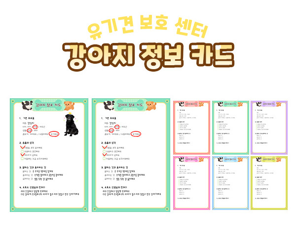 강아지 정보 카드