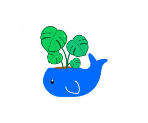 이미지
