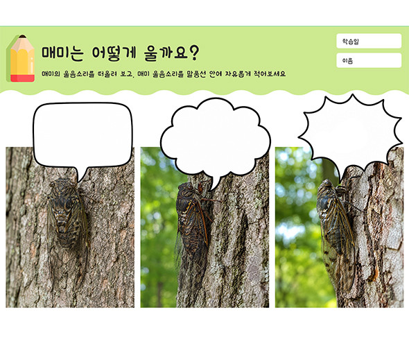 매미는 어떻게 울까요