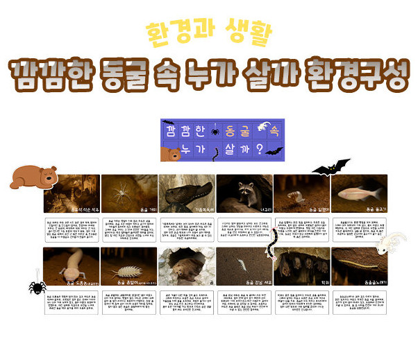 깜깜한 동굴 속 누가 살까 환경구성