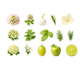 연두색 꽃, 과일