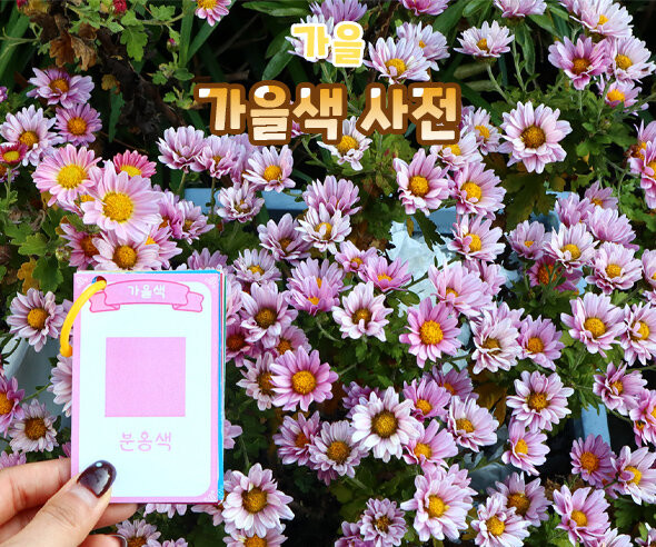 가을색 사전