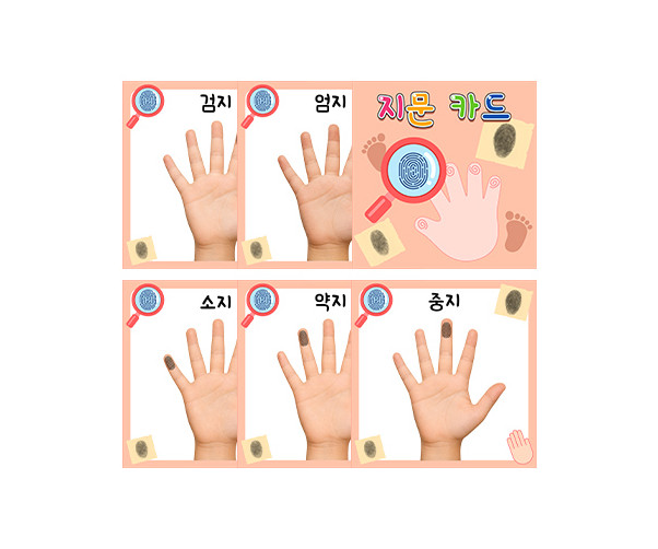 손가락 지문 카드