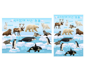 극지방에 사는 동물