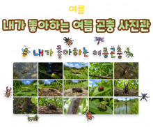 내가 좋아하는 여름 곤충 사진관