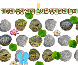 개구리 성장 과정 순서도 징검다리 놀이