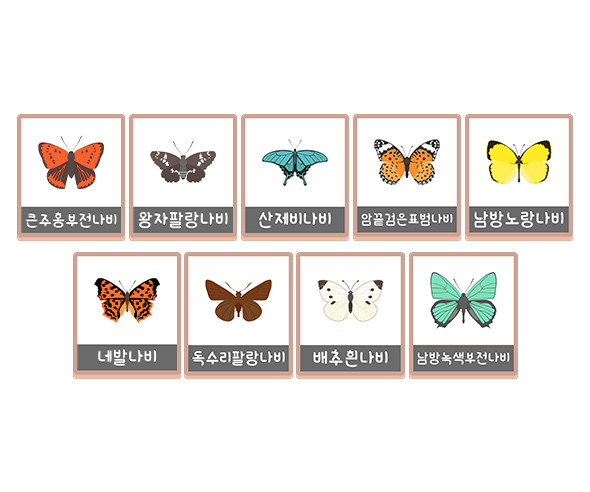 나비 액자