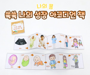 쑥쑥 나의 성장 아코디언 책