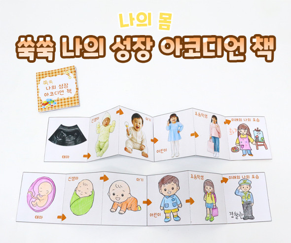 쑥쑥 나의 성장 아코디언 책