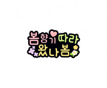 봄향기 따라 왔나봄 토퍼