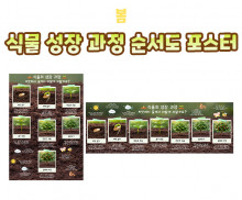 식물 성장 과정 순서도 포스터