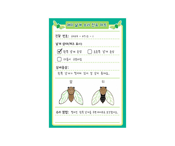 매미 날개 수리 진료 차트