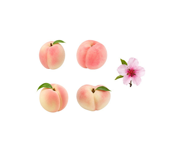 복숭아