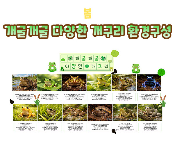 개굴개굴 다양한 개구리 환경구성