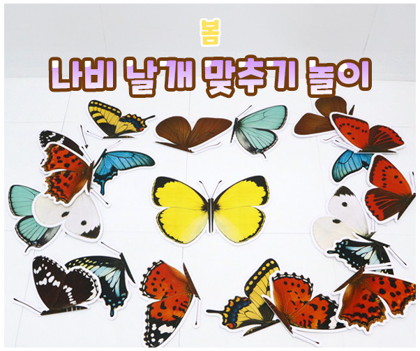 나비 날개 맞추기 놀이