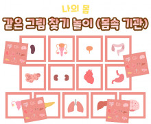 같은 그림 찾기 놀이 (몸속 기관)