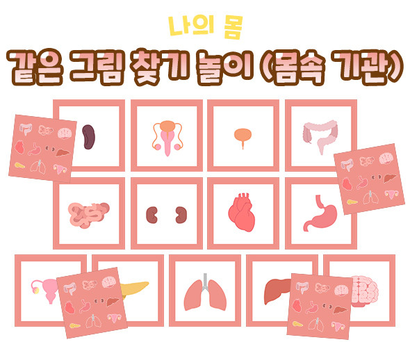 같은 그림 찾기 놀이 (몸속 기관)