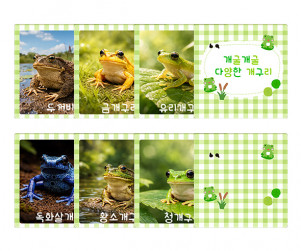 개굴개굴 다양한 개구리 카드