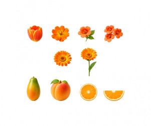 주황색 꽃, 과일