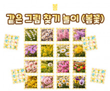 같은 그림 찾기 놀이 (봄꽃)