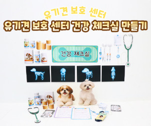 유기견 보호 센터 건강 체크실 만들기