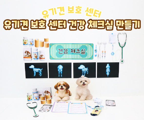 유기견 보호 센터 건강 체크실 만들기