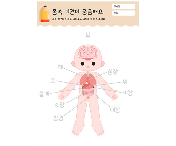 몸속기관이 궁금해요