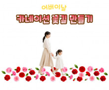 카네이션 꽃길 만들기