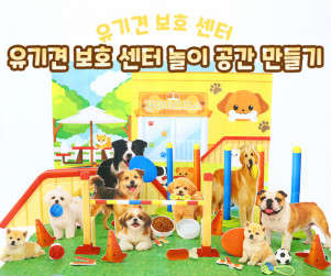 유기견 보호 센터 놀이 공간 만들기