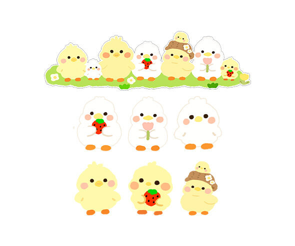 병아리, 오리