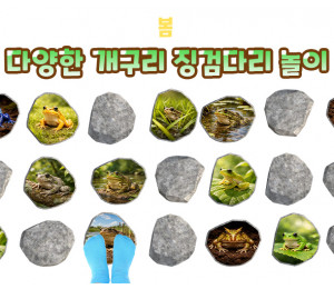 다양한 개구리 징검다리 놀이