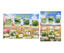 나비 성장 과정 순서도