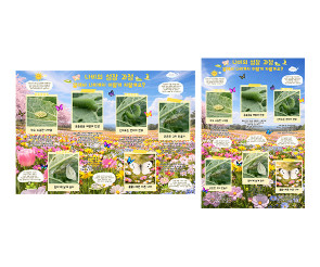 나비 성장 과정 순서도