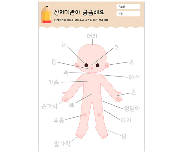 신체기관이 궁금해요