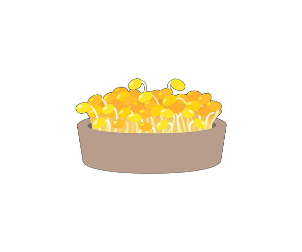 콩나물