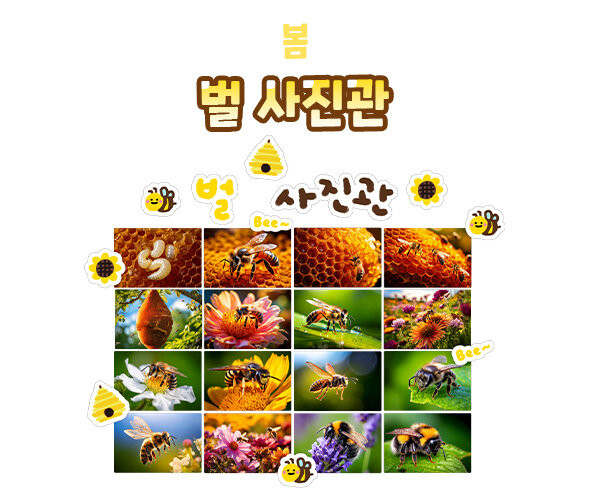 벌 사진관