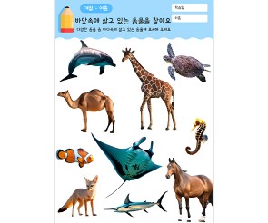 바닷속에 살고 있는 동물을 찾아요