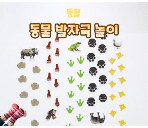 동물 발자국 놀이