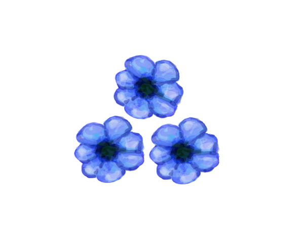 파란꽃
