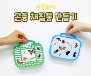 곤충 채집통 만들기