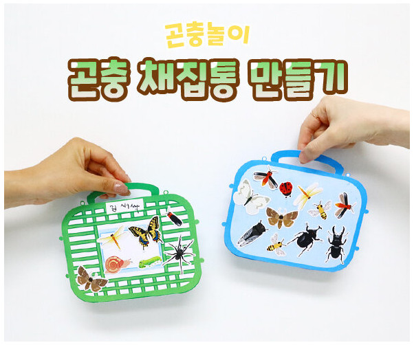 곤충 채집통 만들기