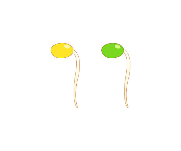 콩나물