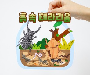 흙 속 테라리움 만들기