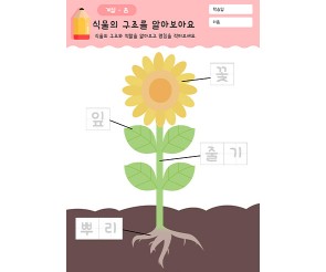 식물의 구조를 알아보아요